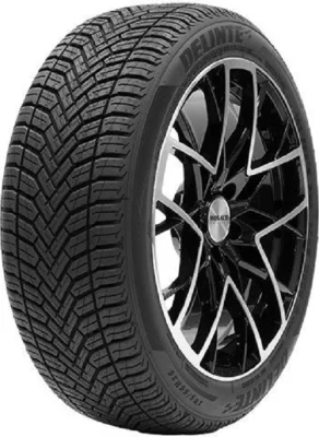 215/60R17 Delinte AW6 100V