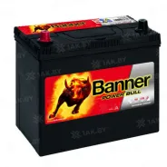 Banner Power (45 Ah) 390 A, 12 V Прямая, L+ B24